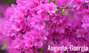 Augusta, Georgia in springtime